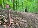  Old Colchester Rd - Photo 14