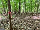  Old Colchester Rd - Photo 28