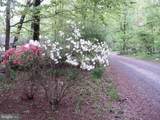  Dogwood Ln - Photo 8