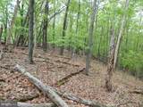  Plum Tree Lane - Photo 10