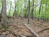  Plum Tree Lane - Photo 11