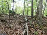  Plum Tree Lane - Photo 12