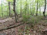  Plum Tree Lane - Photo 14