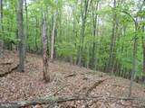  Plum Tree Lane - Photo 16