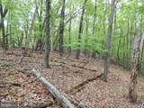  Plum Tree Lane - Photo 17