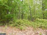  Plum Tree Lane - Photo 20