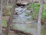  Plum Tree Lane - Photo 38