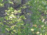  Plum Tree Lane - Photo 47