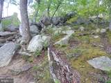  Plum Tree Lane - Photo 53