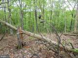  Plum Tree Lane - Photo 6