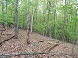  Plum Tree Lane - Photo 9