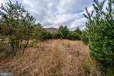 Lot 6 Blue Gray Trail - Photo 11