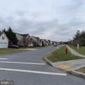 34.77 Acres Red Oak Estate - Photo 10