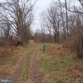34.77 Acres Red Oak Estate - Photo 20