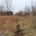 34.77 Acres Red Oak Estate - Photo 22