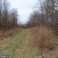 34.77 Acres Red Oak Estate - Photo 25