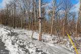 1005 Acres- Shawneeland - Photo 8