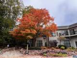 193 Mountain Inn Condos - Photo 50