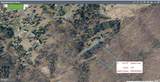 Lot 47 Tupelo Loop - Photo 1