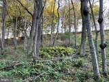  Sunset Ridge Drive - Photo 7