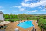 36181 Foxlore Farm Lane - Photo 49