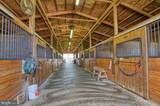 36181 Foxlore Farm Lane - Photo 68