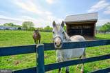36181 Foxlore Farm Lane - Photo 74