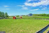 36181 Foxlore Farm Lane - Photo 79