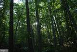  Naked Creek Road - Photo 21