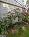 12814 Lake View Drive - Photo 20