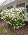 12814 Lake View Drive - Photo 25