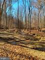 9112 Potomac Ridge Road - Photo 12