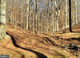 9112 Potomac Ridge Road - Photo 28