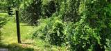  Little Antietam Road - Photo 2
