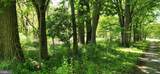  Little Antietam Road - Photo 9