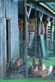 21515 Trappe Rd - Photo 61