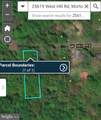 25619 Hill Road - Photo 8