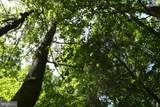  Slate Mills Road - Photo 8