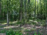 0 Old Baltimore Pike - Photo 6