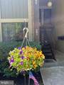 115 Kings Highway Unit - Photo 4