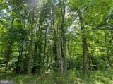  Mckees Gap - Lot #7 - Photo 11
