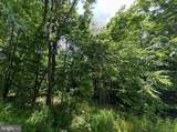  Mckees Gap - Lot #7 - Photo 16