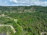 686.10 Acres Thorn Bottom Rd - Photo 11