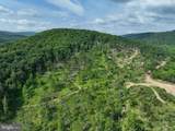 686.10 Acres Thorn Bottom Rd - Photo 15
