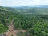 686.10 Acres Thorn Bottom Rd - Photo 20