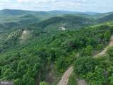 686.10 Acres Thorn Bottom Rd - Photo 21