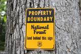 686.10 Acres Thorn Bottom Rd - Photo 47