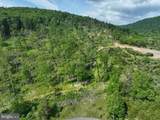 686.10 Acres Thorn Bottom Rd - Photo 5