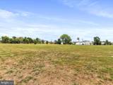 3.49 Acres Lutz Avenue - Photo 12