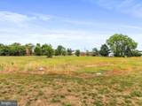 3.49 Acres Lutz Avenue - Photo 14
